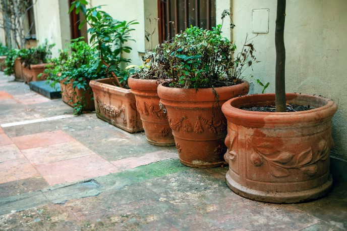 Зимний уход за уличными вазонами Зимний уход за уличными вазонами